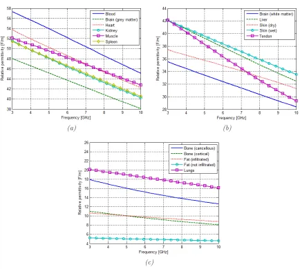 Figure 3.2: Permittivity versus frequency for (a) group 1 consisting of blood, brain (grey matter), heart,kidney, muscle, and spleen, (b) group 2 consisting of brain (white matter), liver, skin (dry), skin (wet),and tendon, and (c) group 3 consisting of bone (cancellous), bone (cortical), fat (inﬁltrated), fat (notinﬁltrated), and lungs.
