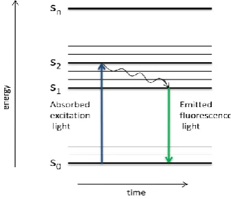 Figure 3 Jablonski energy diagram 