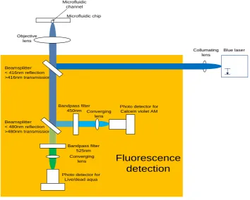 Figure 22 fluorescence detection 