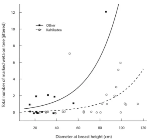 Figure 1. Effect of tree type (kahikatea (Dacrycarpus dacrydioides) or ‘other’) and tree size (dbh) on observations of wētā occurrence