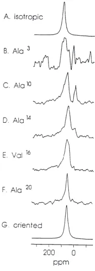 Figure 5. MAS solid-state 1H spectra at 60°C of A) pure DMPC and B)DMPC/gramicidin A system initially prepared from trifluoroethanol