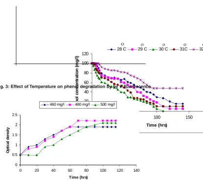Fig. 3: Effect of Temperature on phenol degradation by by P.fluorescencePhenol concentration (mg/l)480 mg/l