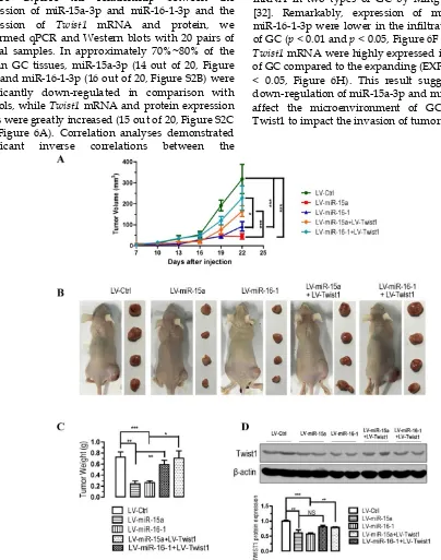 Figure 5. Overexpression of miR-15a-3p and miR-16-1-3p significantly inhibits tumor growth, while Twist1 ovexpression significantly ameliorated the loss of tumor growth in nude mice xenografted with GC cells.growth of xenograft tumor tissues in nude mice