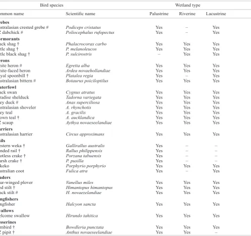 Table 1. Indigenous bird species (n = 30) that characteristically feed, breed, or shelter in freshwater palustrine, riverine and lacustrine wetlands in New Zealand (based on Heather & Robertson (2000), O’Donnell (2000), and Williams (2004))