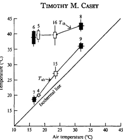 Fig. 3. The relation of thoracic temperature to body weight in free-flying moths in the field.Fig