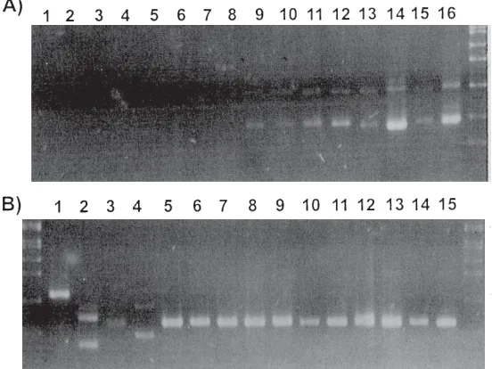Table 1. Primers for the amplification of the cyanobacterial 16S-23S rRNA ITS and phycocyanin operon