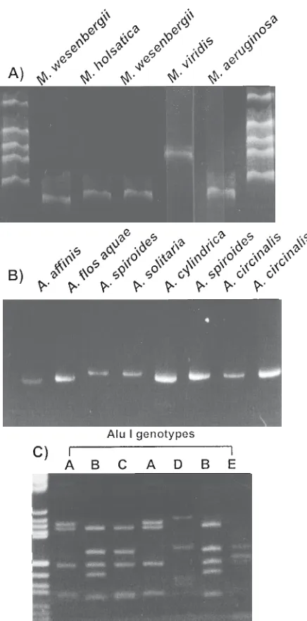 Table 2. Diagnostic RFLP types for cyanobacterial genera