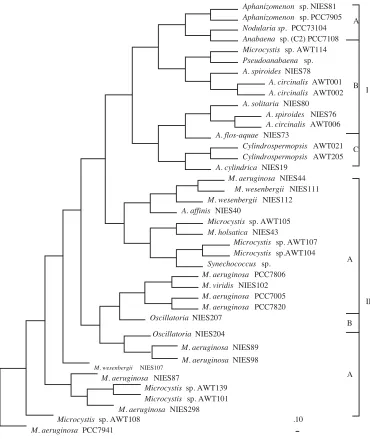 Figure 3. Strict consensus cladogram constructed from 45 binary characters applied to the rules of Dollo parsimony