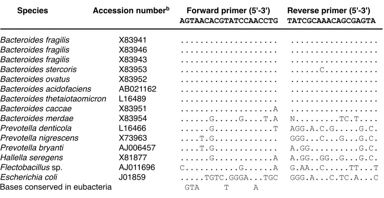 Table 1. Alignment of primers used for internal standard QPCR with Bacteroides spp. and related organismsa