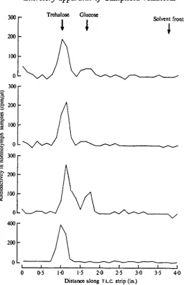 Fig. 4. The levels of radioactivity in chromatographed haemolymph samples (cpm//tl of samplespotted) taken 45 min after the injection of [14C]glucose.