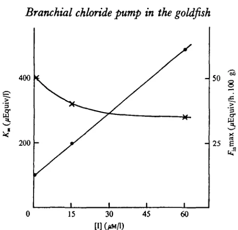 Fig. 6. Variations of the affinity constant of the Cl~ carrier (#) and of the maximal chlorideinflux ( x ) as a function of external thiocyanate concentration.