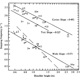 Fig. 13. Double logarithmic plotofnumbers referThe of stepping frequency versus shoulder height in 14 species mammals, plus the gnu calf