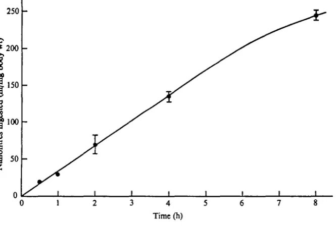Fig. 2. The amount of external medium consumed in relation to time, as estimated from theincrease in whole body radioactivity with time after placing mosquito larvae in sea water con-