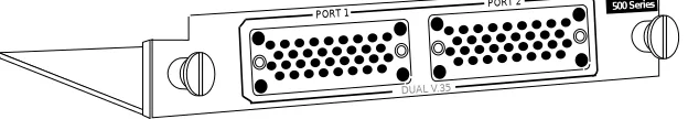 Figure 1-1. Dual Nx 56/64 Module