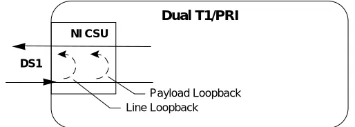 Figure 3-4. Network Loopback Test