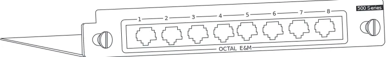 Figure 1-1.  Octal E&M Module