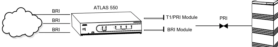 Figure 1-1. Quad BRI/U Module System