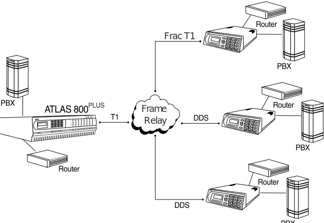 Figure 1-2.  Frame Relay Circuit