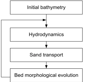 Figure 1-1: The morphodynamic loop 