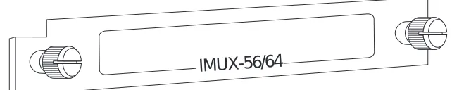 Figure 1-3.  IMUX-56/64 Module