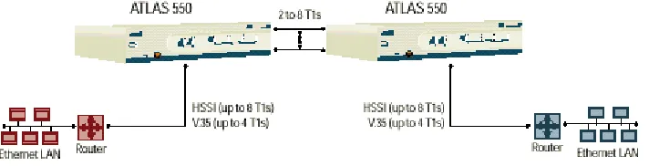 Figure 1-1 shows a sample application of the NxT1 HSSI/V.35 Module.