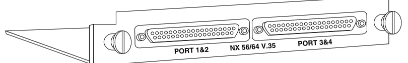 Figure 1-1Quad Nx 56/64 Module