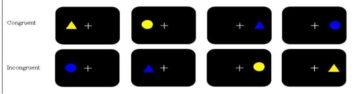 Figure 1: The four possible stimuli used in the experiment. 