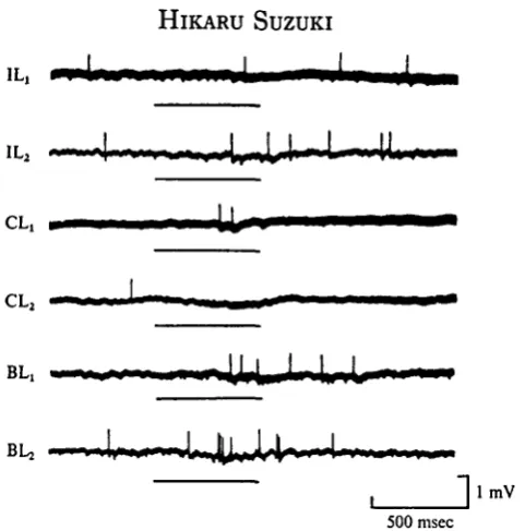 Fig. 3. Synaptic properties of the neurones from the antennae arriving at a particular unit (BES500 msectype)