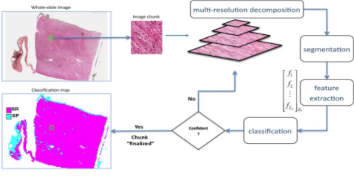 Figure 1 shows a data analysis pipeline [5] (developed by neuroscientists at the National Center for Microscopy and Imaging Research) for images obtained from confocal  mi-croscopes