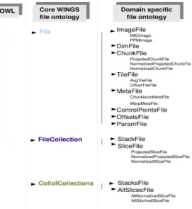 Figure 4: Extensions to core WINGS data ontology For component collections, multiple instances of a  compo-nent can be dynamically created depending on the properties of the data, and tasks corresponding to these instances are scheduled independently for e