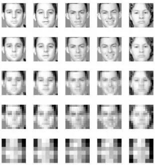 Figure 4.4: FRGC sample images with different resolution. First row: 64 × 64; second row: 32 × 32; third row: 16 × 16; fourth row: 12 × 12; last row: 6 × 6.