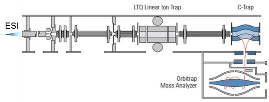 Figure 1.5 - ESI LTQ-Orbitrap: ions will be transferred into the LTQ linear ion trap after being ionized by ESI source