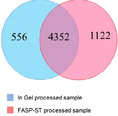 Figure 2.2 - protein identified from in gel and FASP-ST processed fractions 