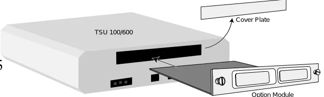 Figure 2-1Installing Option Module