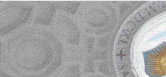Figure 3. Detail of image based triangulated mesh 