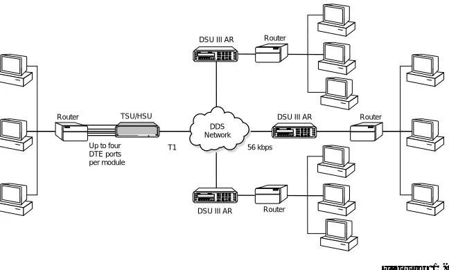 Figure 1-1 shows a sample point-to-point application forthe Dual DSU-DP.