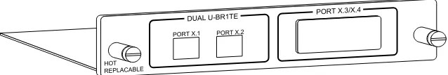 Figure 1-1. Dual U-BR1TE Plug-in Option Card