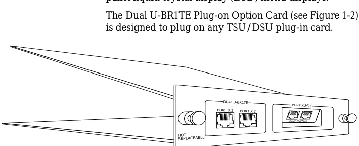 Figure 1-2. Dual U-BR1TE Plug-on Option Card