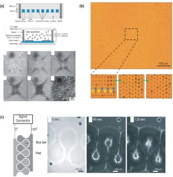 Figure 1.8. Examples of microfluidic cell and particle manipulation devices.  (a) An electrically-driven fluid flows induced by asymmetric AC fields at the photoresist and silicon interface where particles and cells were drawn to a stagnant area in the cen