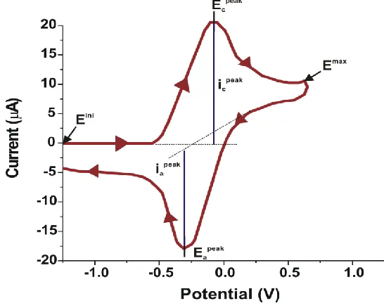 Figure 1.14. A typical cyclic voltammagram.  The forward scan represents the reduction of the redox probe