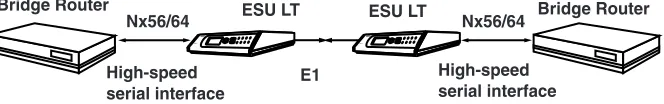 Figure 1-2.  Simple Bridge Application on an E1 or FE1 Circuit