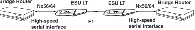 Figure 1-2.  Simple Bridge Application on an E1 or FE1 Circuit