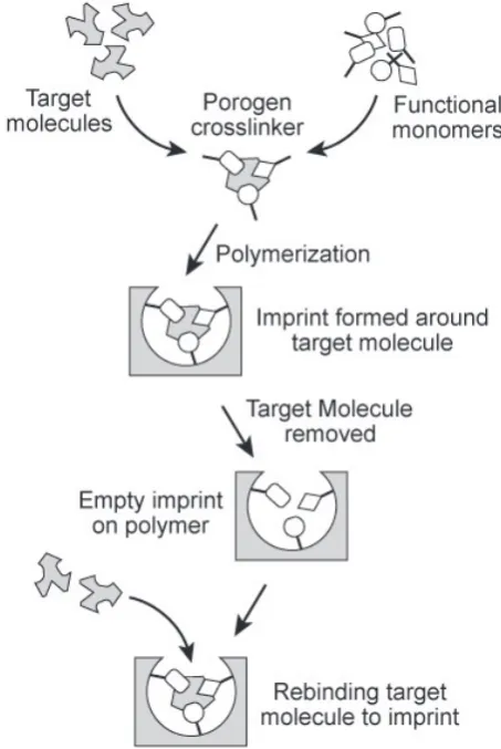 Fig. 10 Schematic representation of the preparation of molecular imprints.