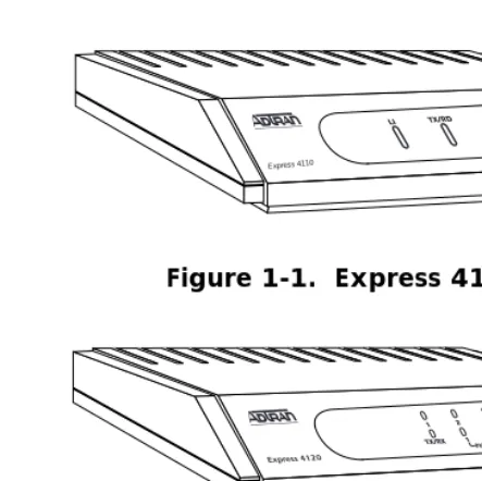 Figure 1-1.  Express 4110