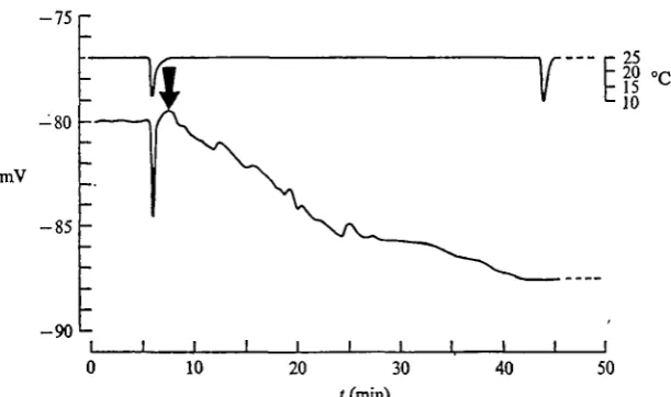 Fig. 13. Microelectrode recording showing the effects of ethacrynic acid (0-2 miw/l) on thepotentials recorded from within a giant axon in an intact connective