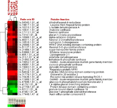 Figure 4. Clustering analysis of the 30 selected grazing responsive genes based on the gene activities detected by microarray hybridization (2h) and RT-qPCR (2h, 6h and 24h)