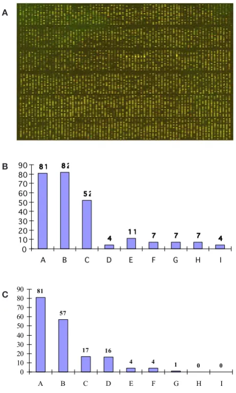 Table 1. Genes with different transcript abundances detected by cDNA microarray.