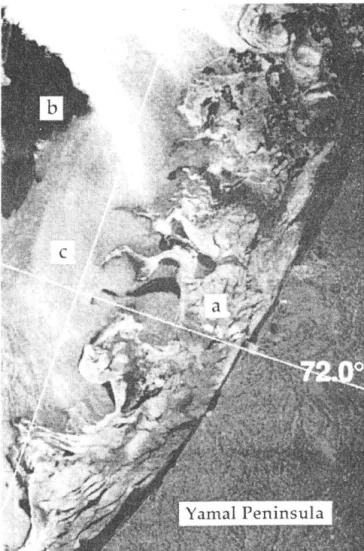 Figure  2.  SAR  image  from  October 29  1993  covering  50  by  75  km  of the  west  coast  of Yamal  peninsula