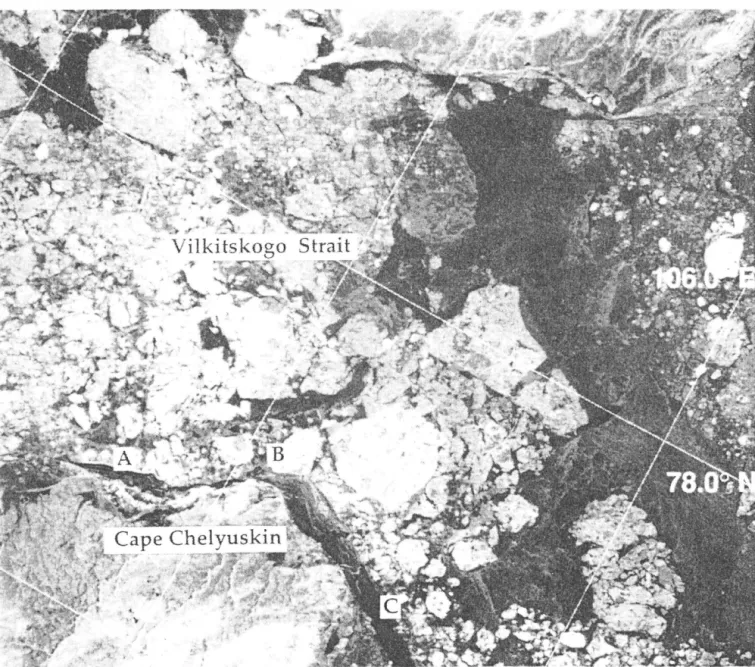 Figure 3.  SAR image from  November 4  1993 covering  100 by  100  km  of the Vilkitskogo Strait