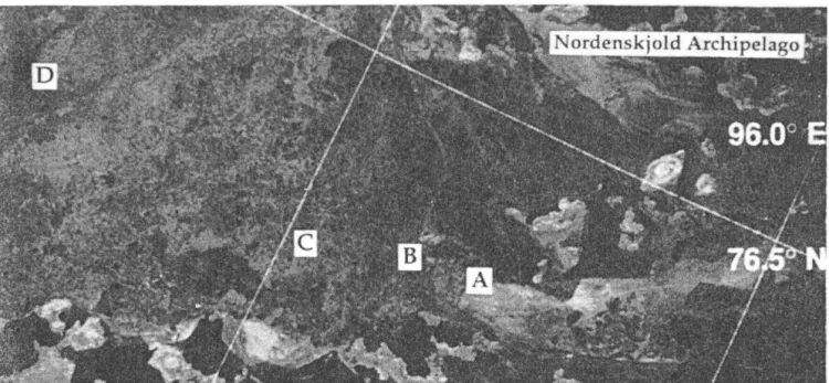 Figure 5 .  SAR image of the Mathiessen Strait in  the Nordenskjold Archipelago from  November  15  1993